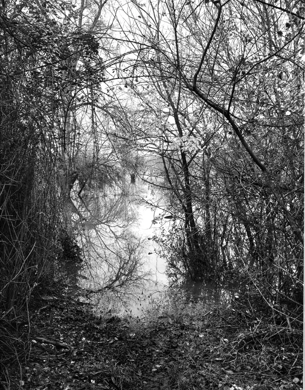 "L'eau Grande 16," 2002, photograph, 24x20 in.