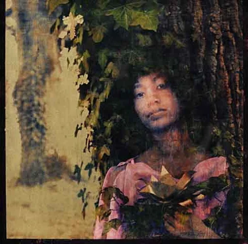 "Dryopé," 2012, gum bichromate and paint on glass, 12x12 in.