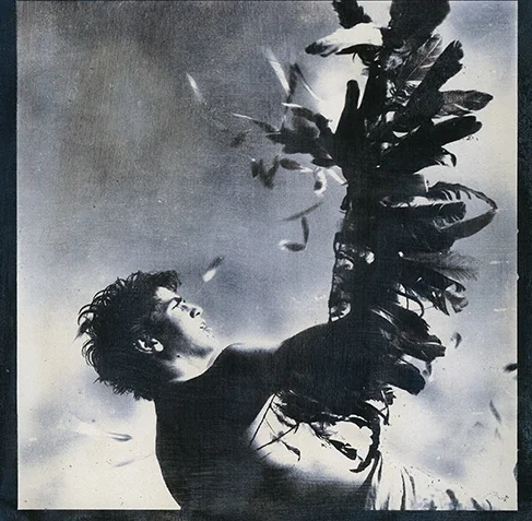 "Icare," 2011, drawing cyanotype and gum, 11x11 in.