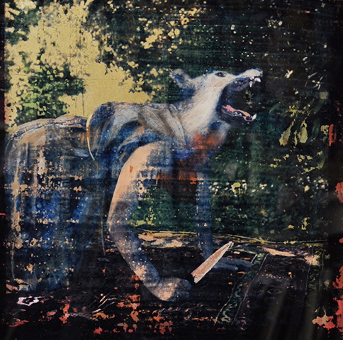  "Lycaon," 2012, cyanotype gum bichromate and paint on glass, 12x12 in. 