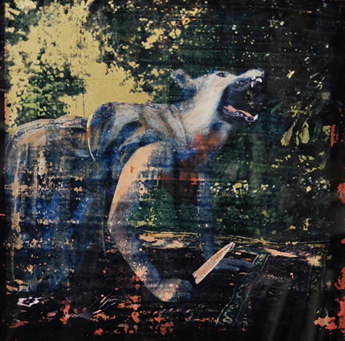 "Lycaon," 2012, cyanotype gum bichromate and paint on glass, 12x12 in.
