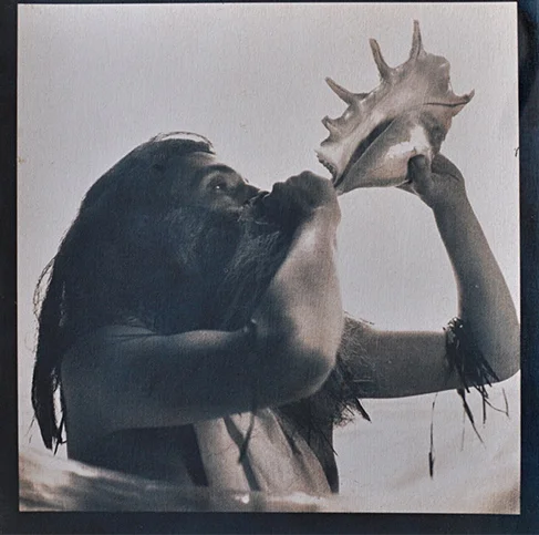 "Triton," 2011, cyanotype and gum bichromate print, 12x12 in.