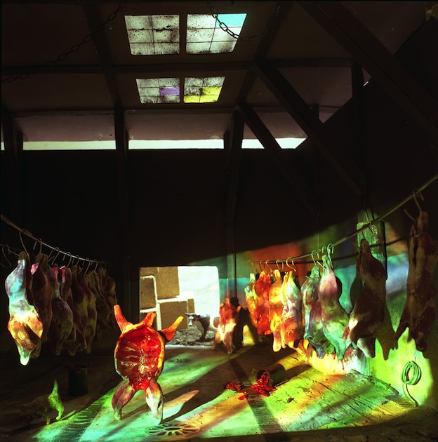 "Cow in the Slaughterhouse," 1998, c-print, 19x17.5 in.