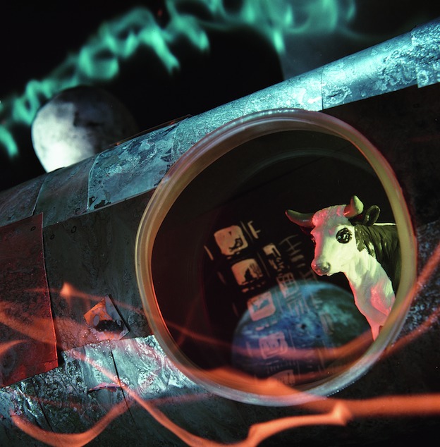 "Cow in Space," 1998, c-print, 19x17.5 in.