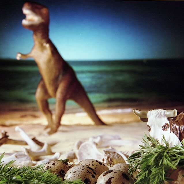 "Cow on the Paleolithic Beach," 1998, c-print, 19x17.5 in.