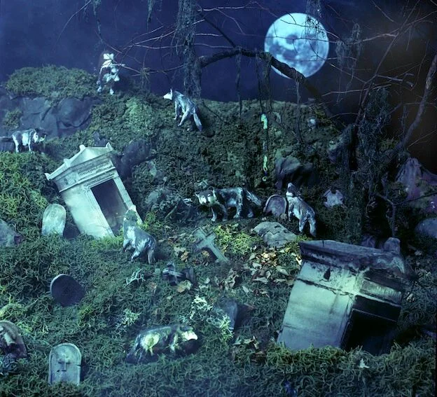 "Cow in the Cemetery," 1998, c-print, 19x17.5 in.