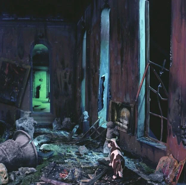 "Cow in the Ruins of the Museum," 1998, c-print, 19x17.5 in.