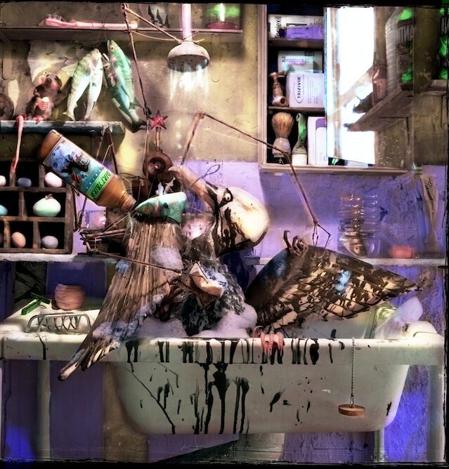 "Dirty Bird," 2003, c-print, 18x18 in.