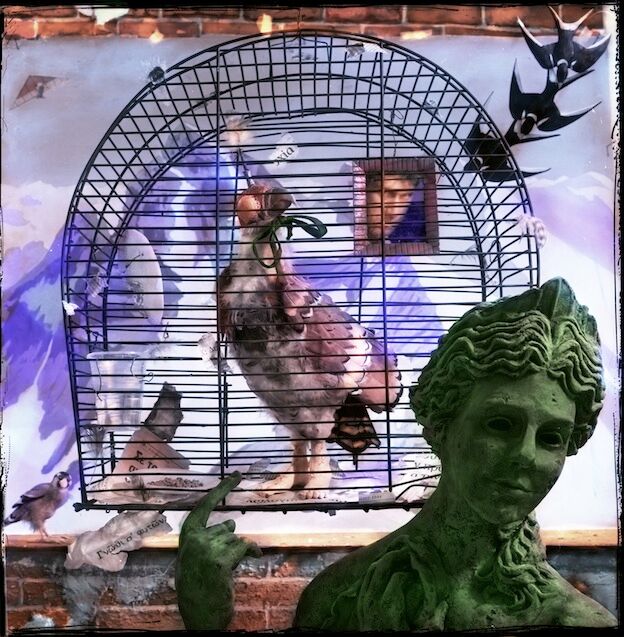 "Know Thyself," 2004, c-print, 18x18 in.