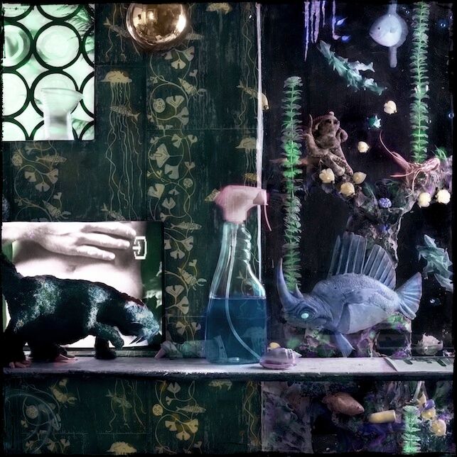 "Blind Fish," 2002, c-print, 18x18 in.