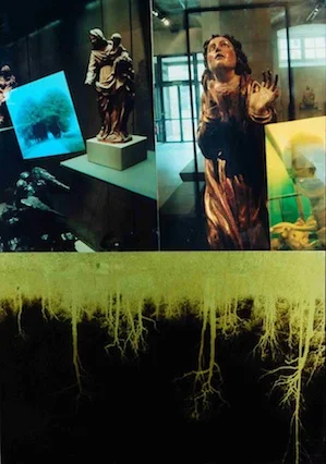 "We Remember the Sun on our Skin," 2006, c-print, 20.75x14.5 in.