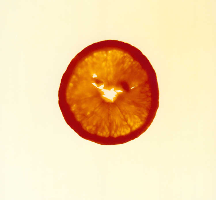 orange slice_8.75x8.75.jpg