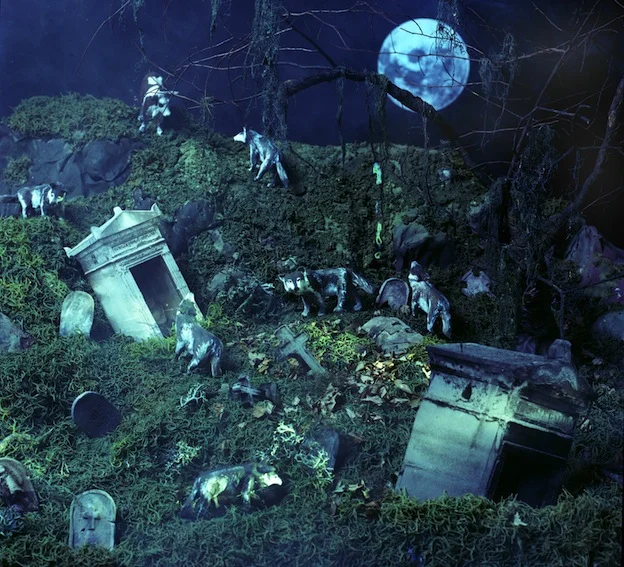 "Cow in the Cemetery," 1998, c-print, 19x17.5 in.