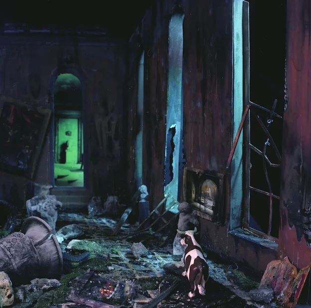 "Cow in the Ruins of the Museum," 1998, c-print, 19x17.5 in.