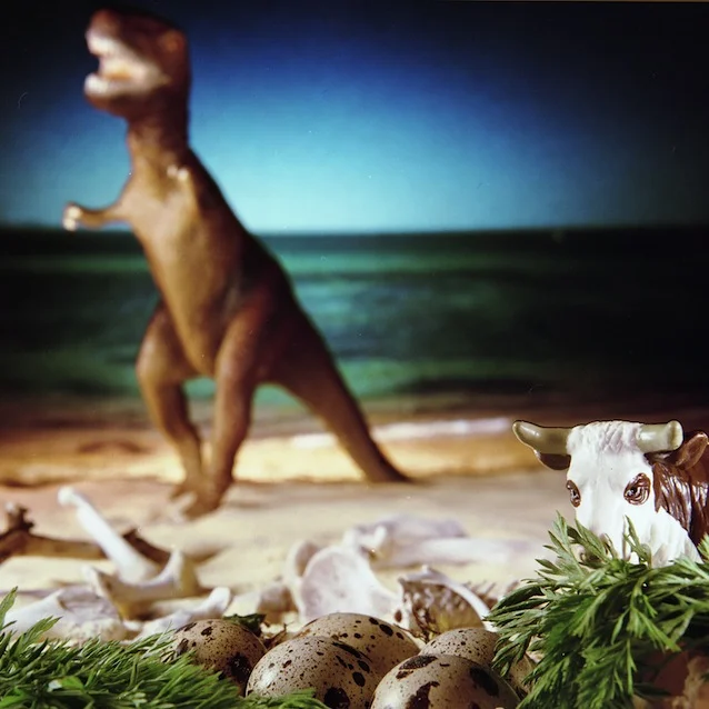 "Cow on the Paleolithic Beach," 1998, c-print, 19x17.5 in.