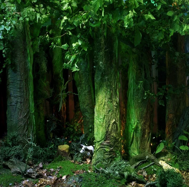 "Deep in the Forest," 1998, c-print, 19x17.5 in.