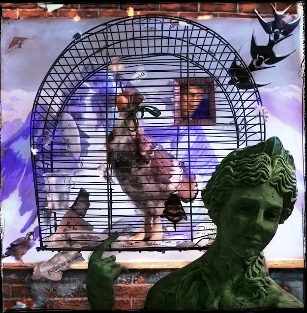 "Know Thyself," 2004, c-print, 18x18 in.
