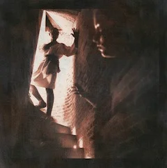 van Blerk, OrphÇe et Eurydice, MÇtamorphoses, Gomme et cyanotype, 2011, 11.8x11.8in.jpg