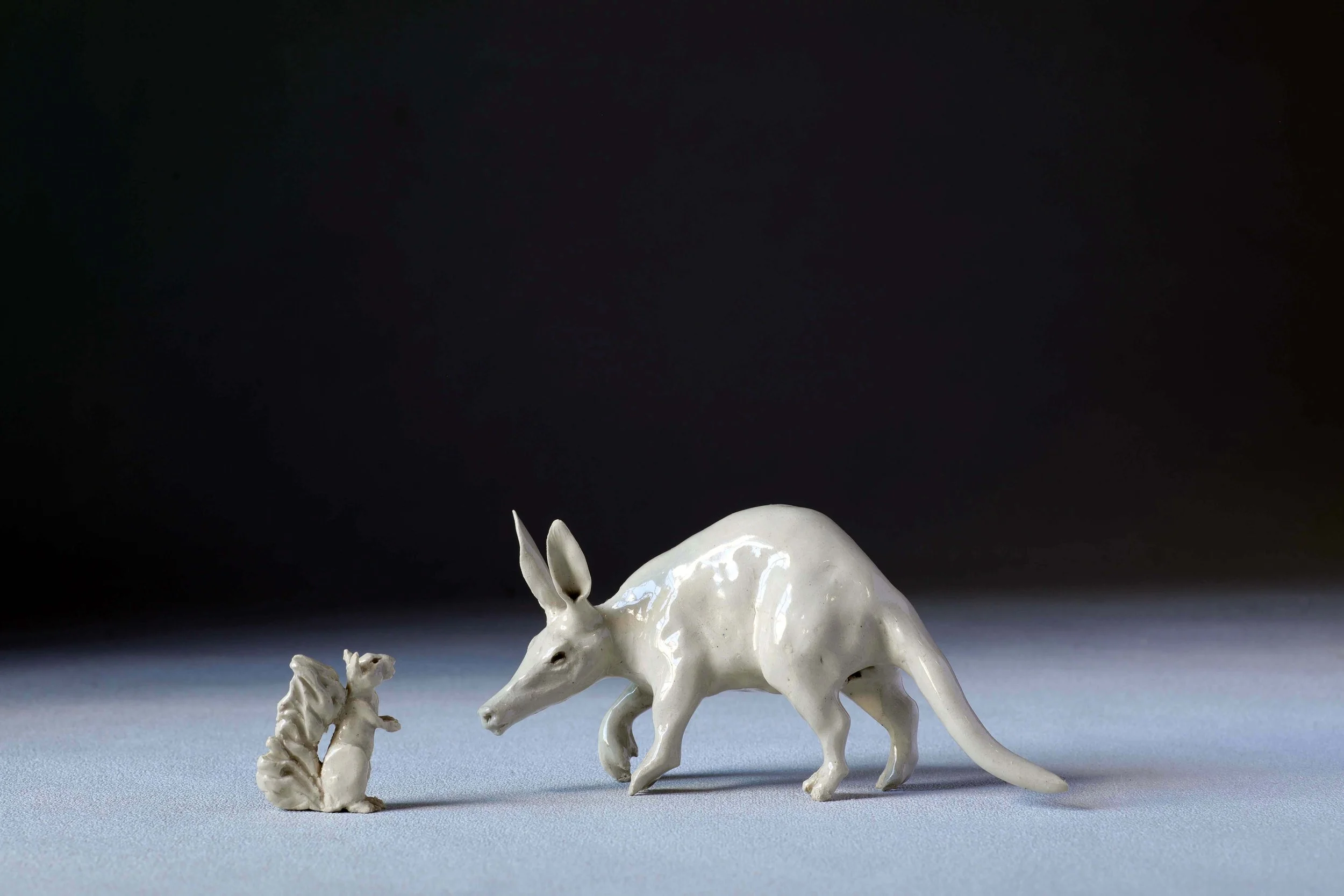 aardvark and squirrel (1).JPG