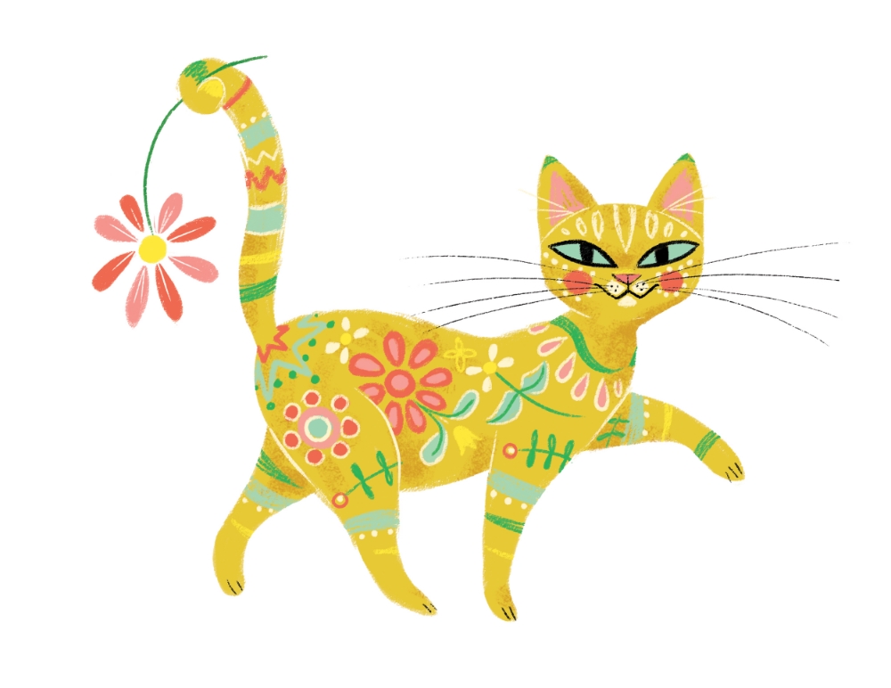 gato.jpg