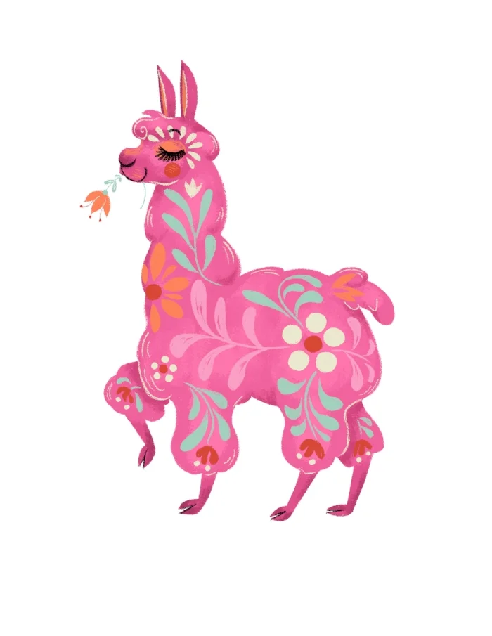 llama_color.jpg