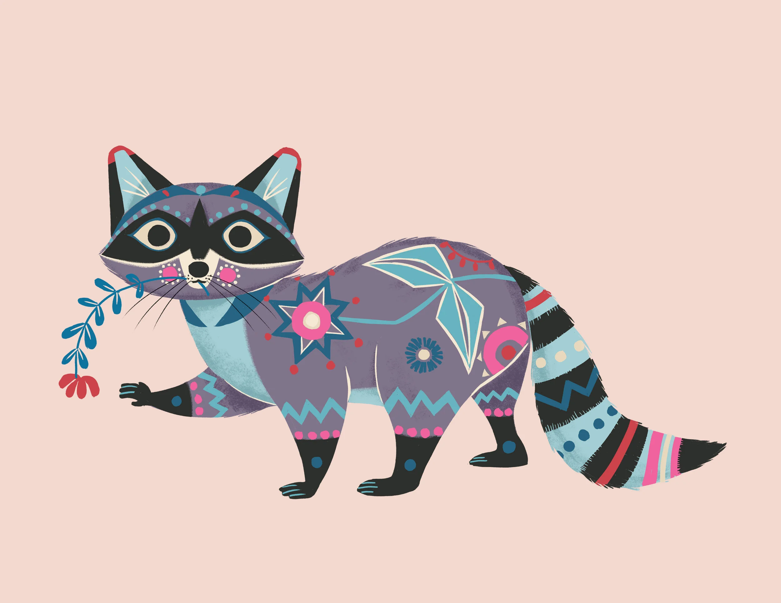 racoon2.jpg