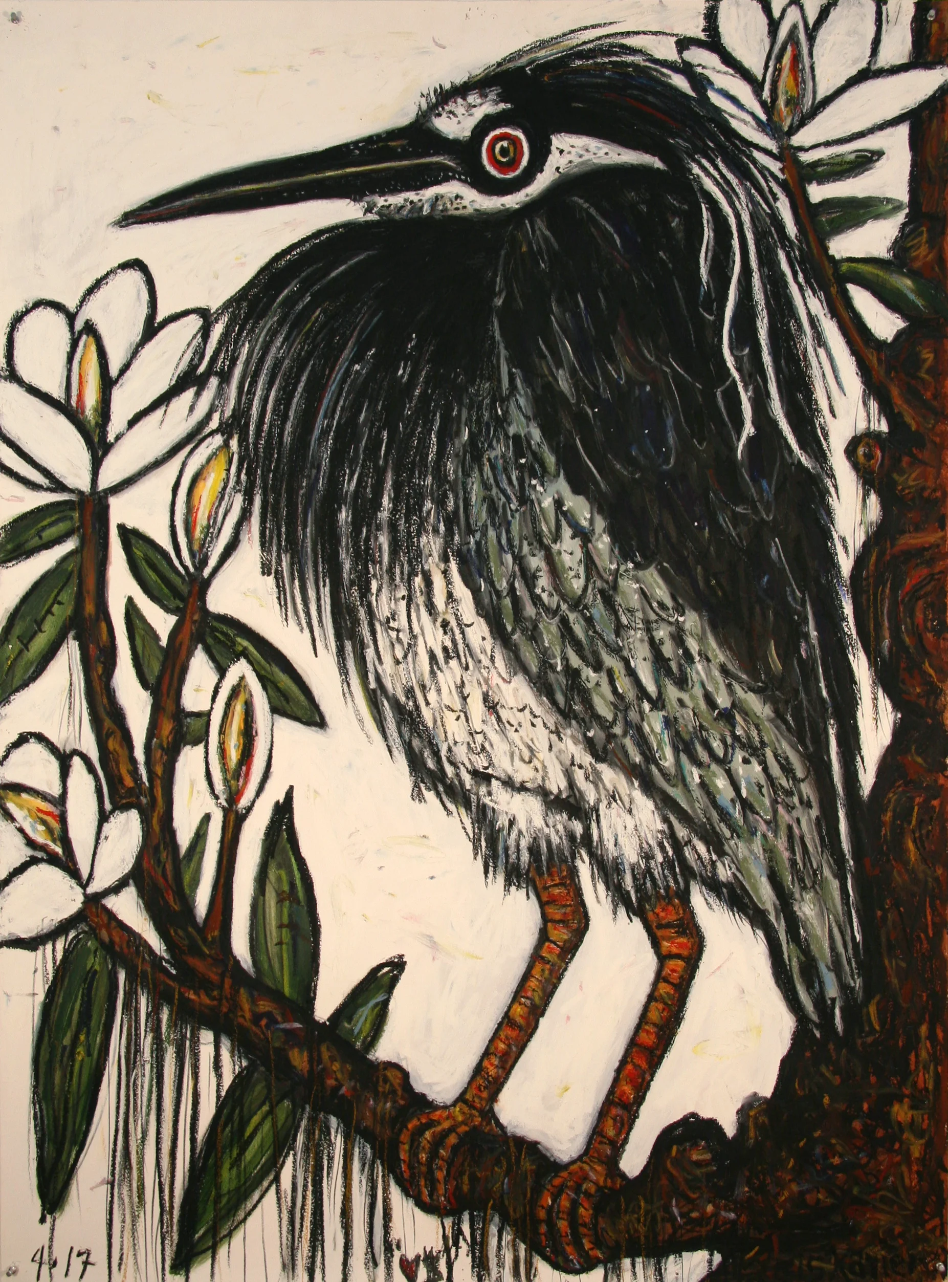 Night Heron