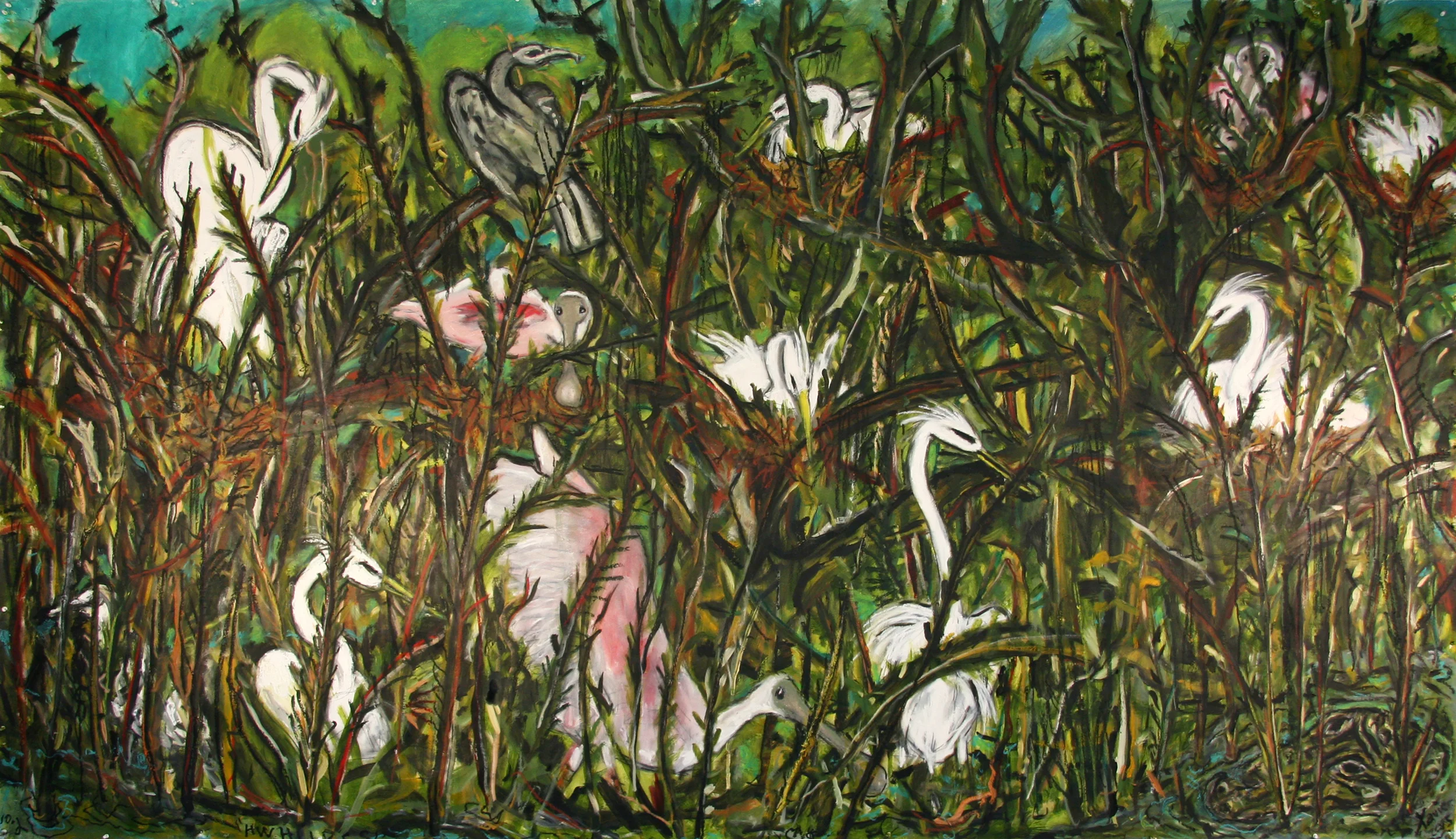 The Rookery at High Island