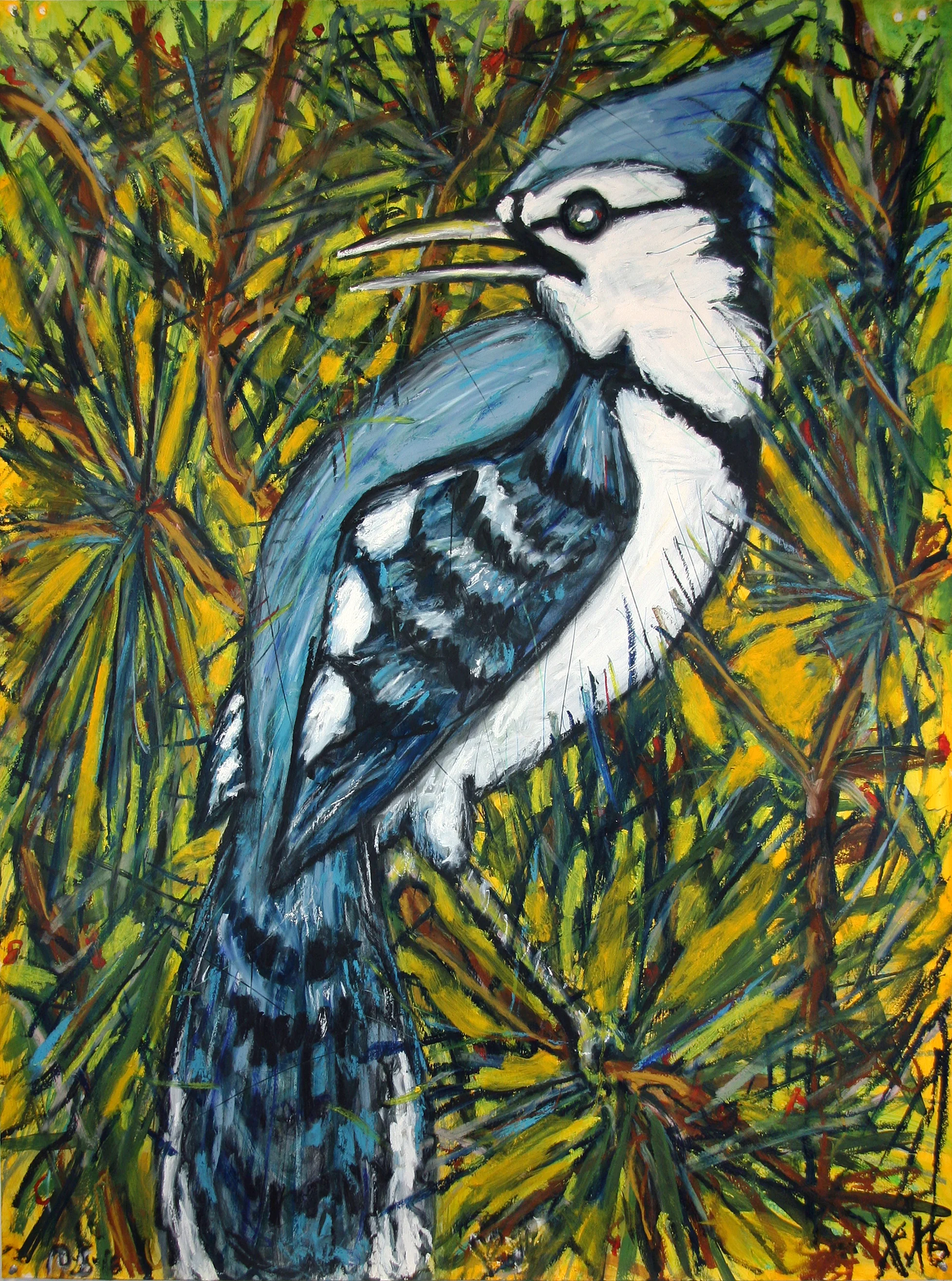 Blue Jay
