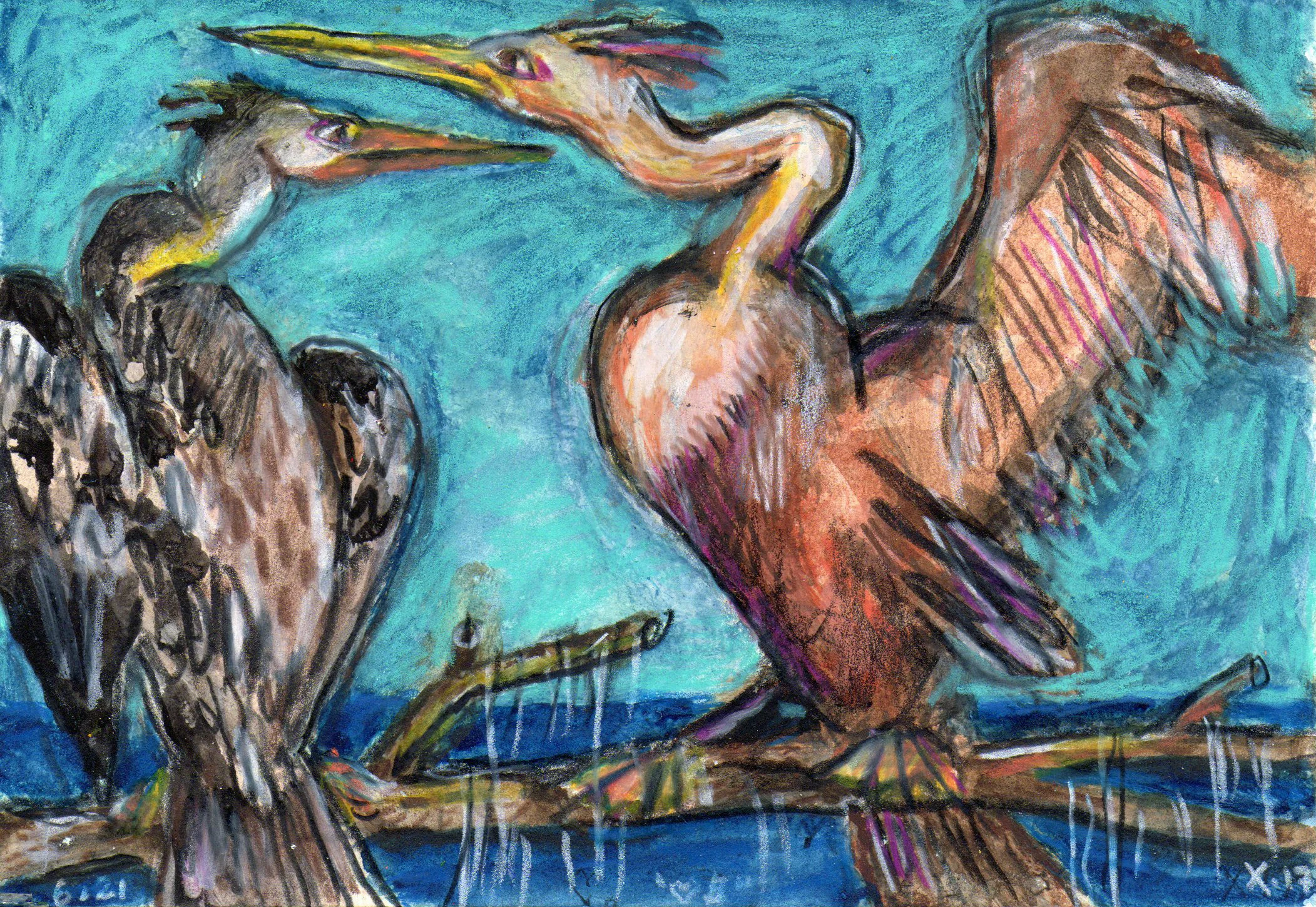 Anhingas