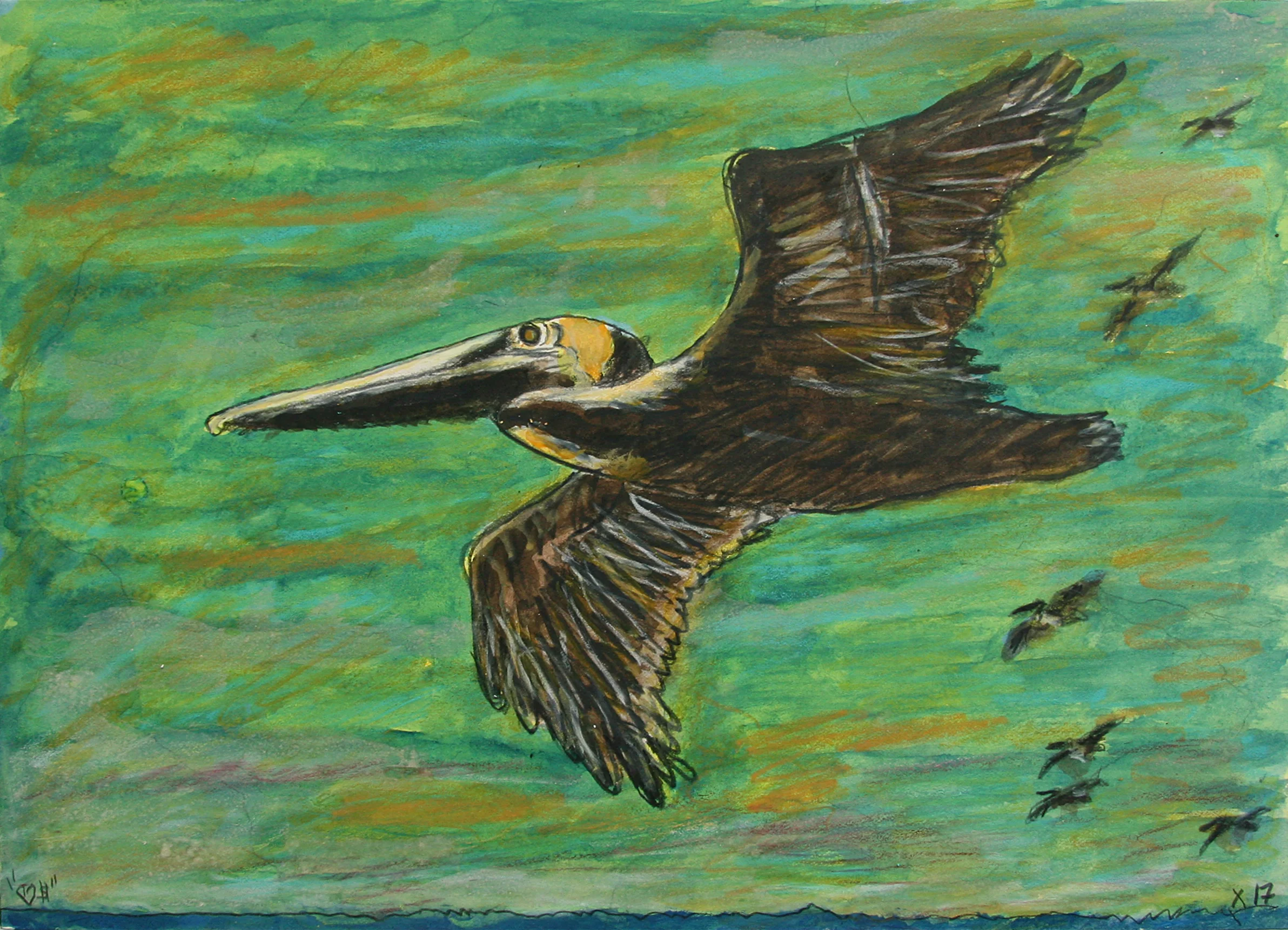 Pelican