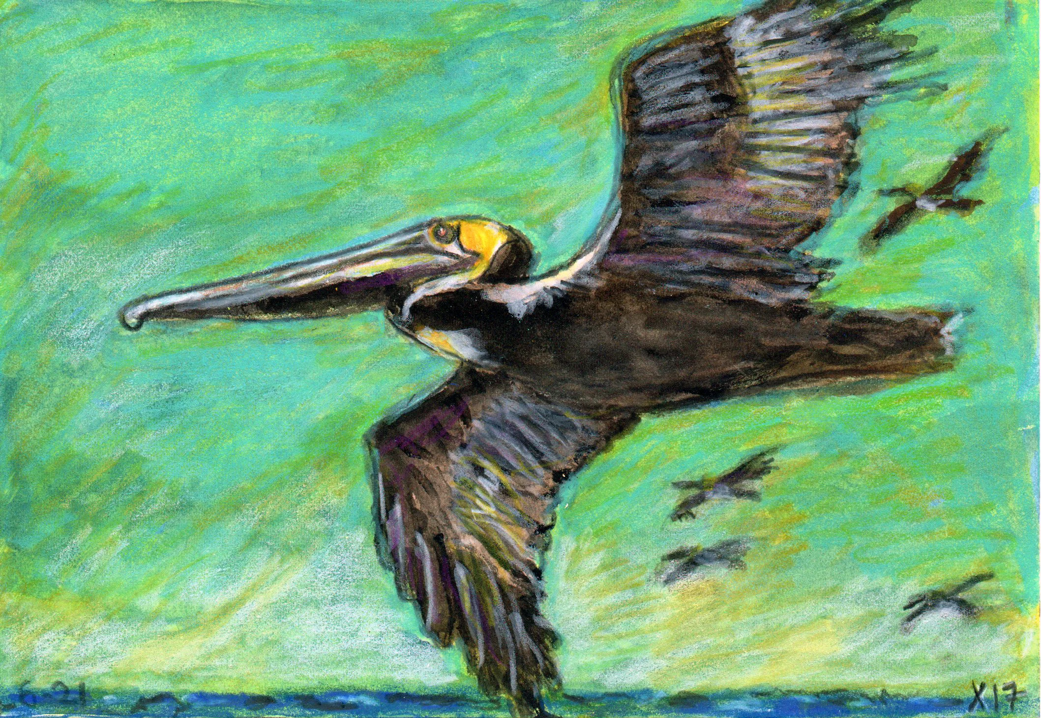 Pelican #2