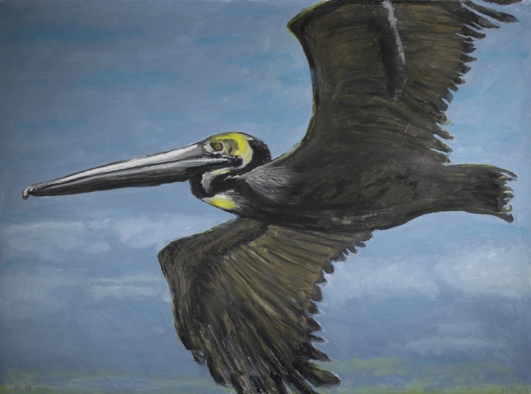Pelican Day