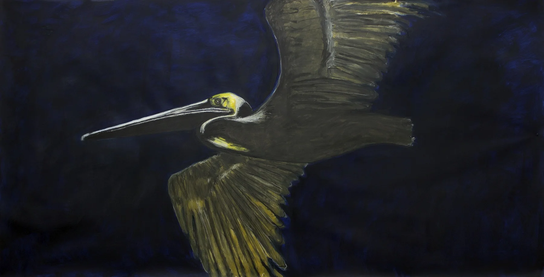 Pelican Night