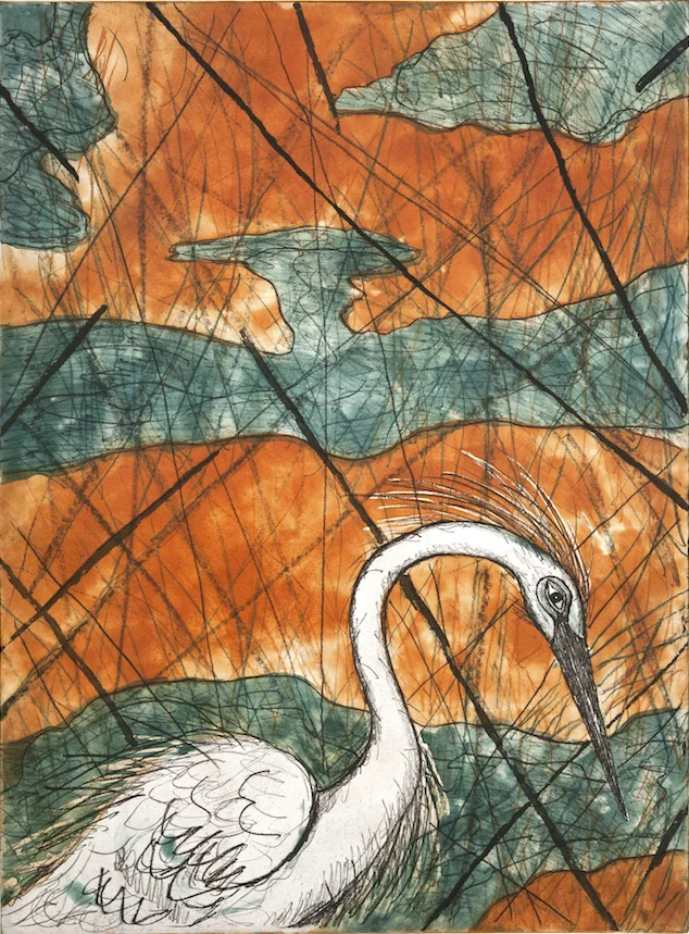 Snowy Egret