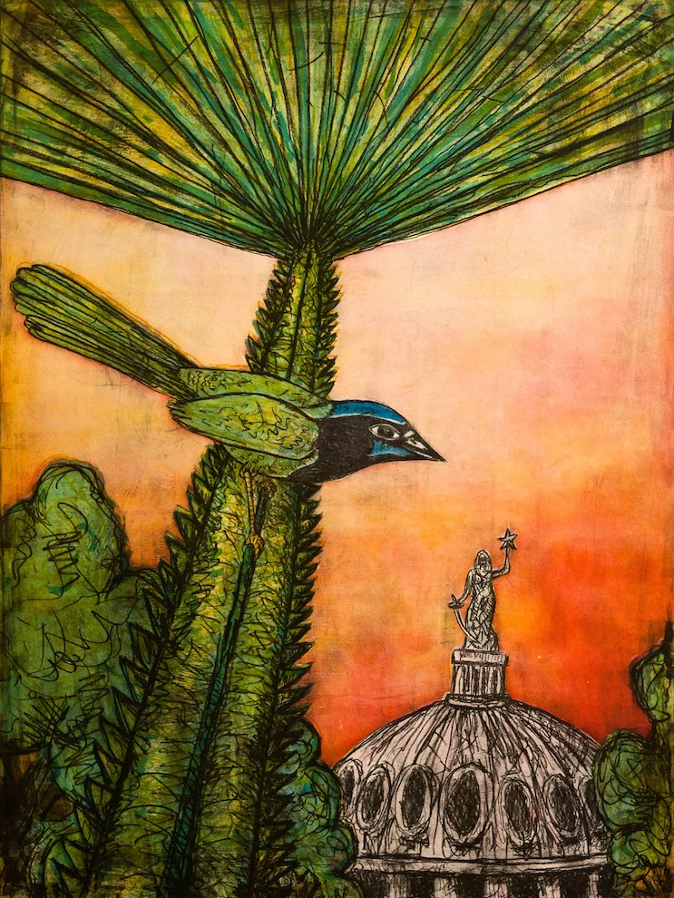 Texas Green Jay