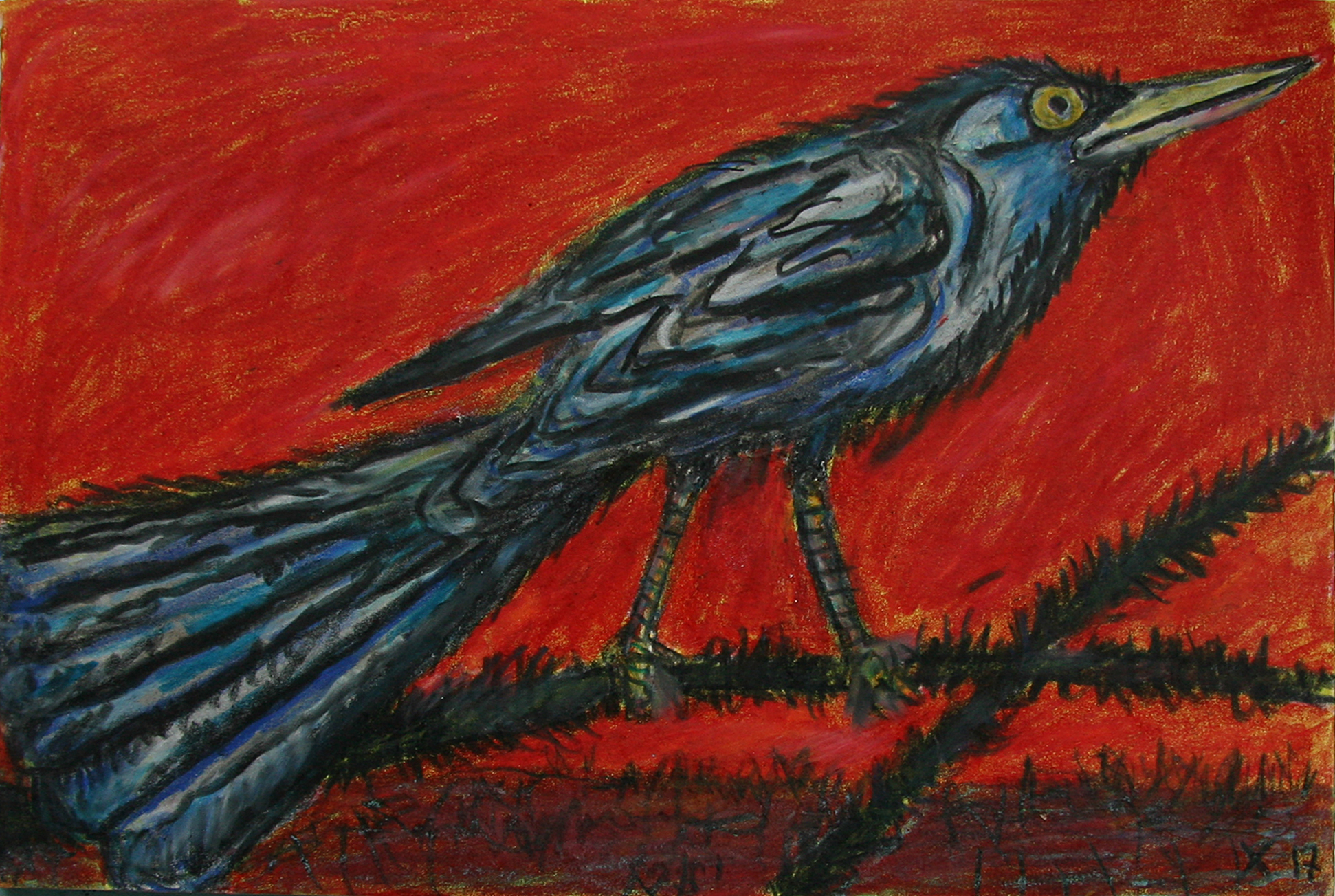 GrackleRed5X7__17.JPG