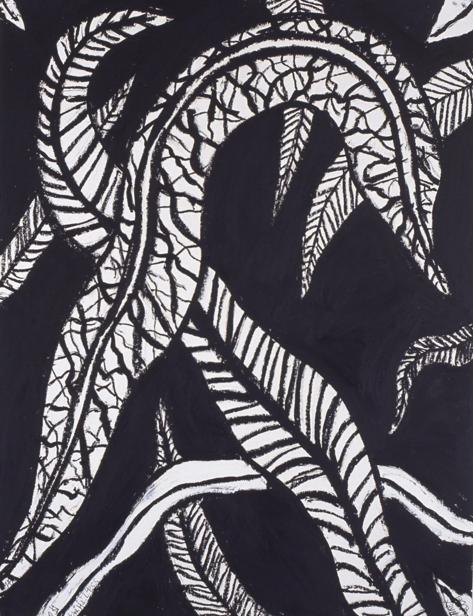 Leaves
