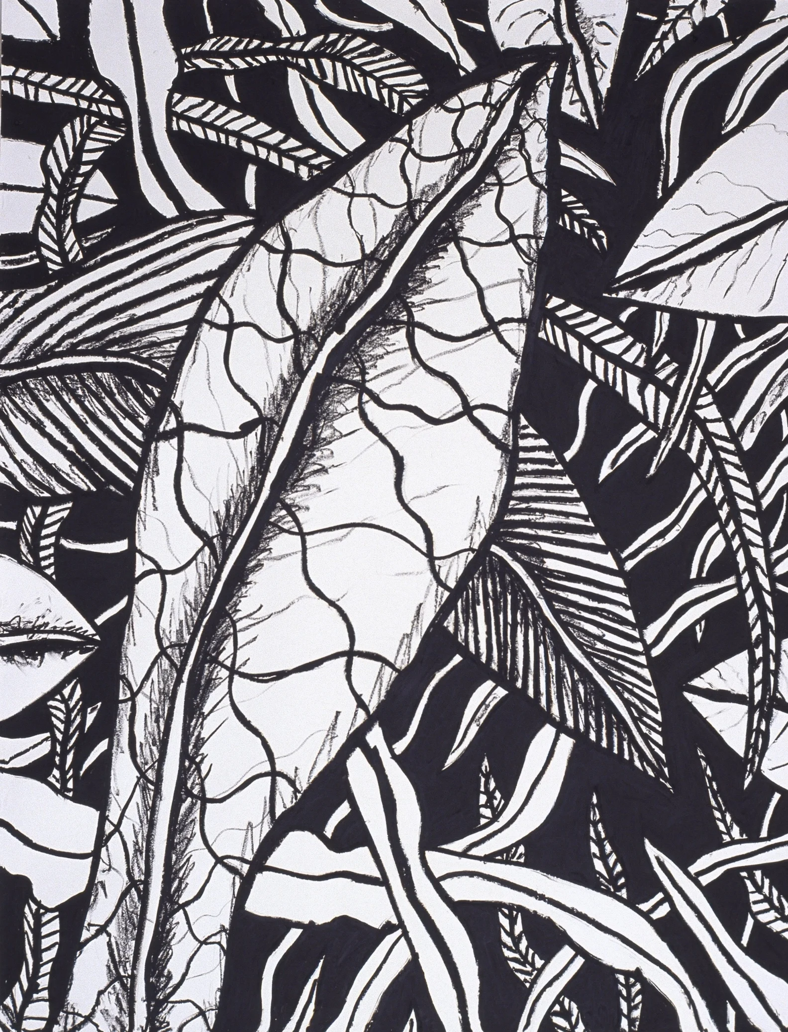 Leaves