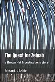 The Quest for Zeinab cover.jpg