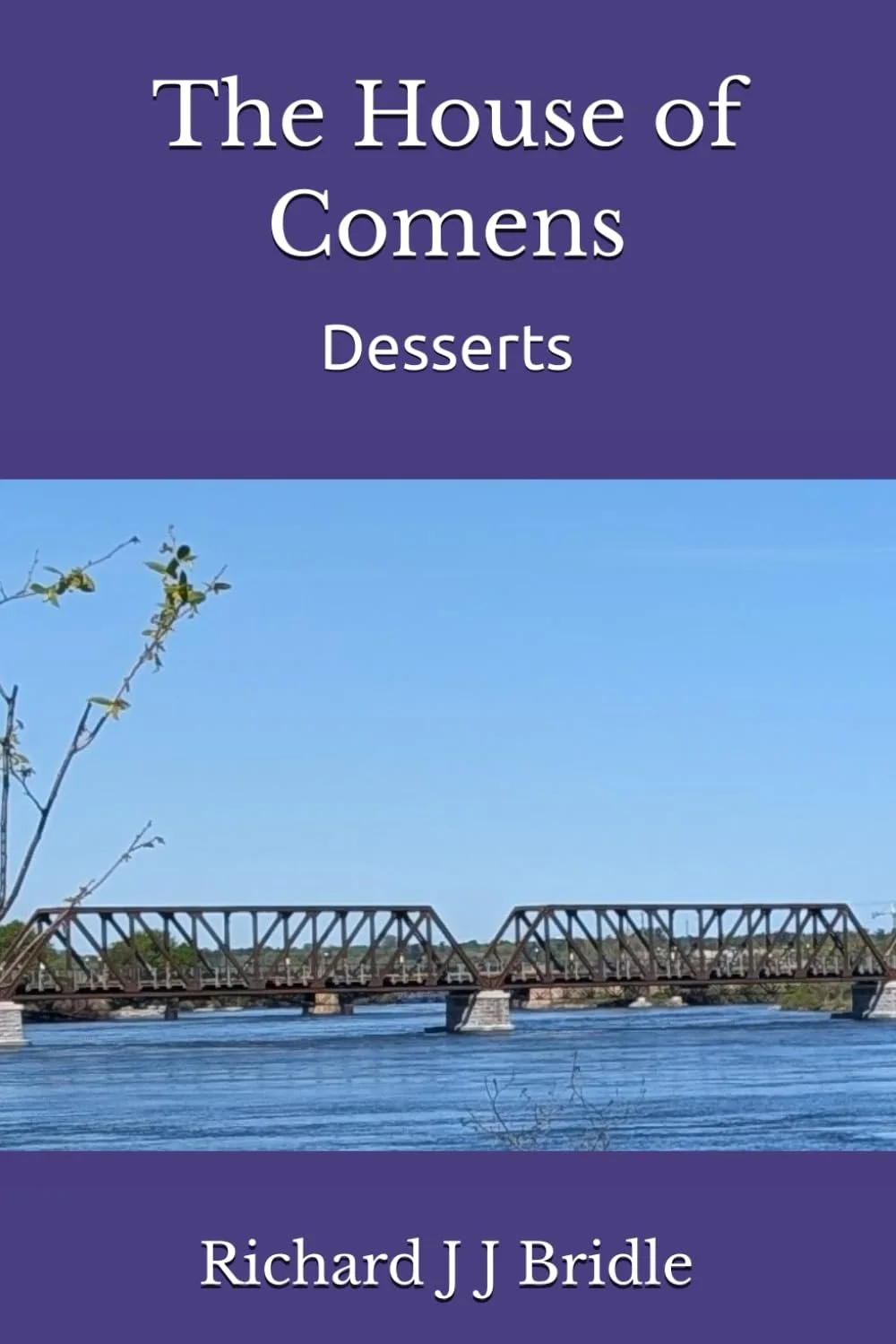 Paperback front cover.jpg