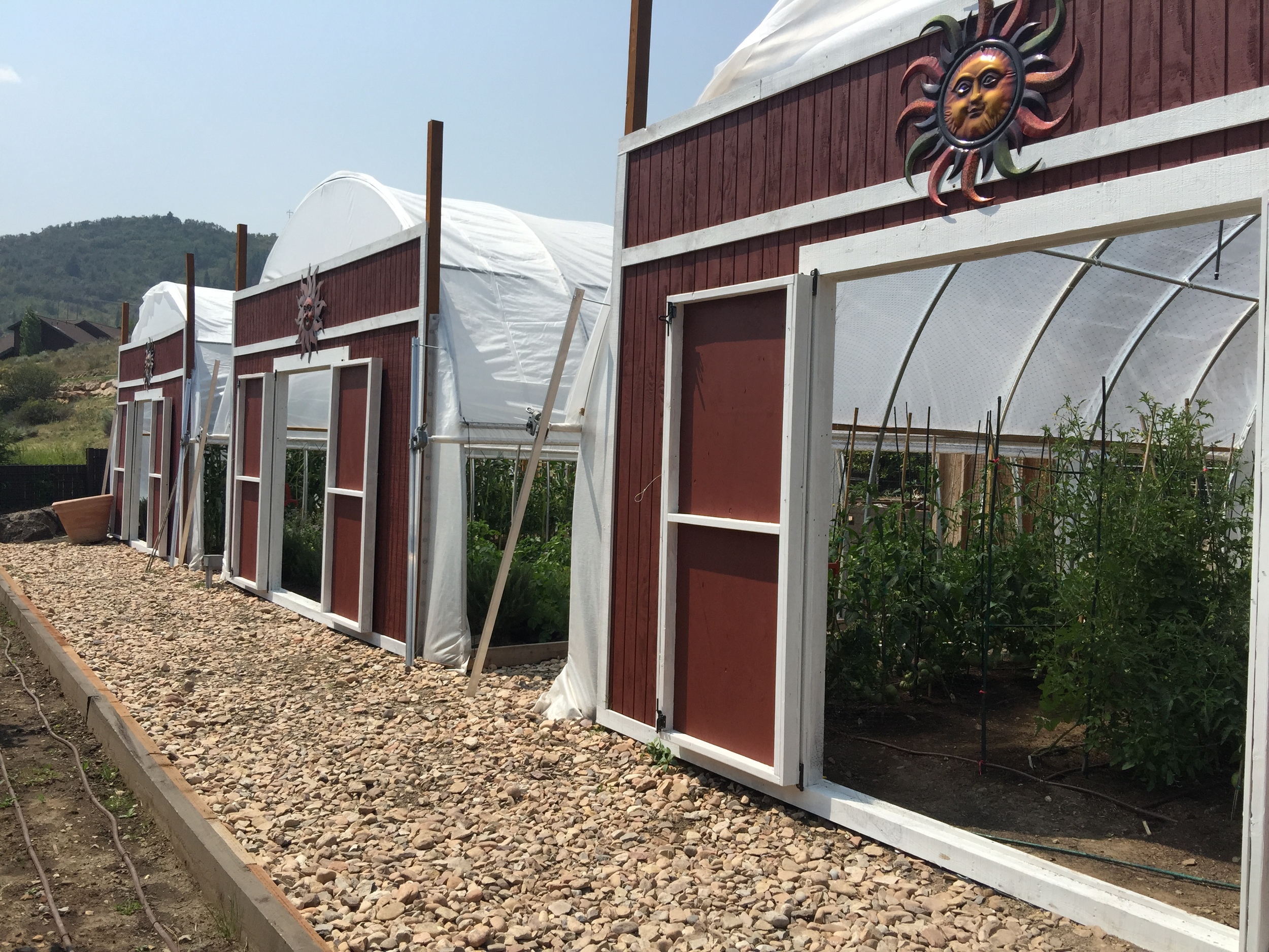Bill White Farms Greenhouses