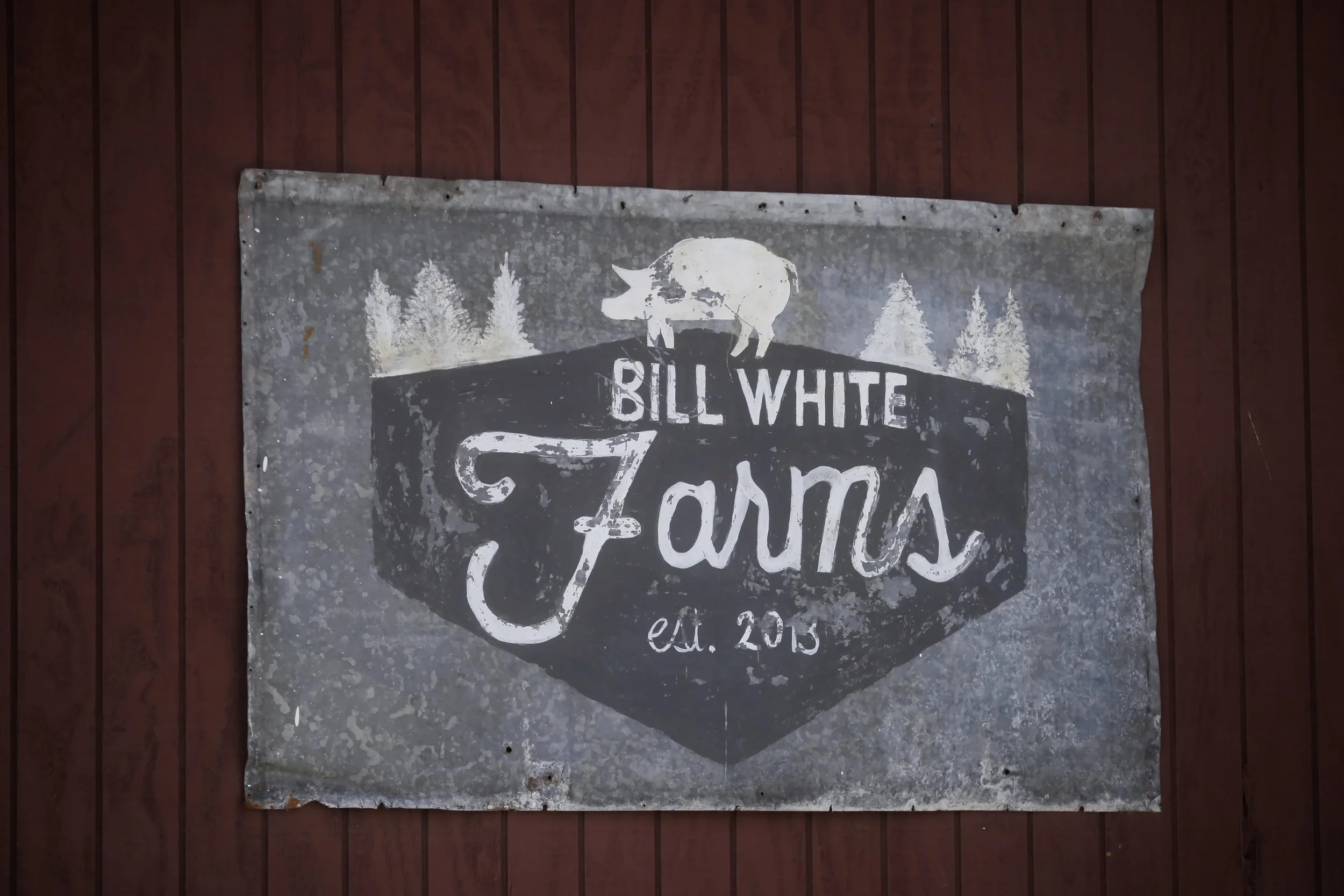 BillWhiteFarmsCiderFest16-039.jpg
