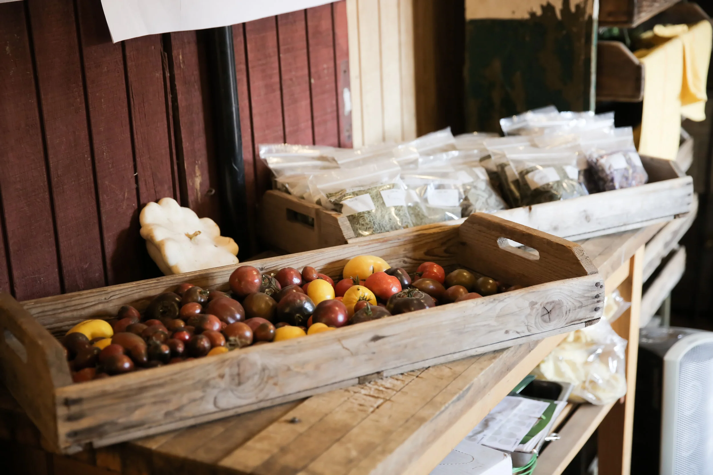 BillWhiteFarmsCiderFest16-336.jpg