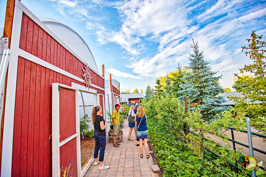 After the lecture, everyone was given a quick tour of the farm. 