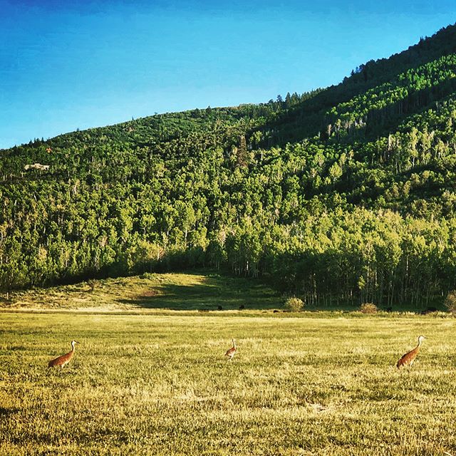 Park City days and nights on our #landmanagement property 🌄