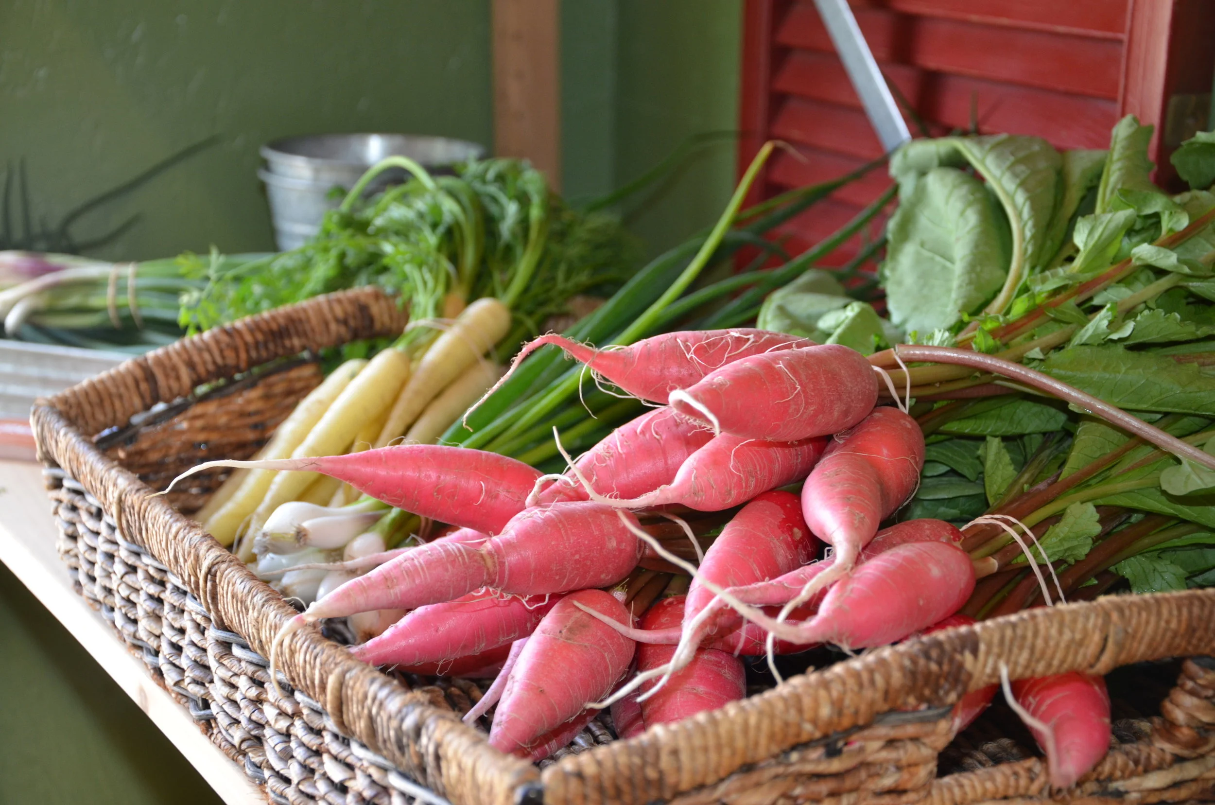 The Farm Stand is Open! 