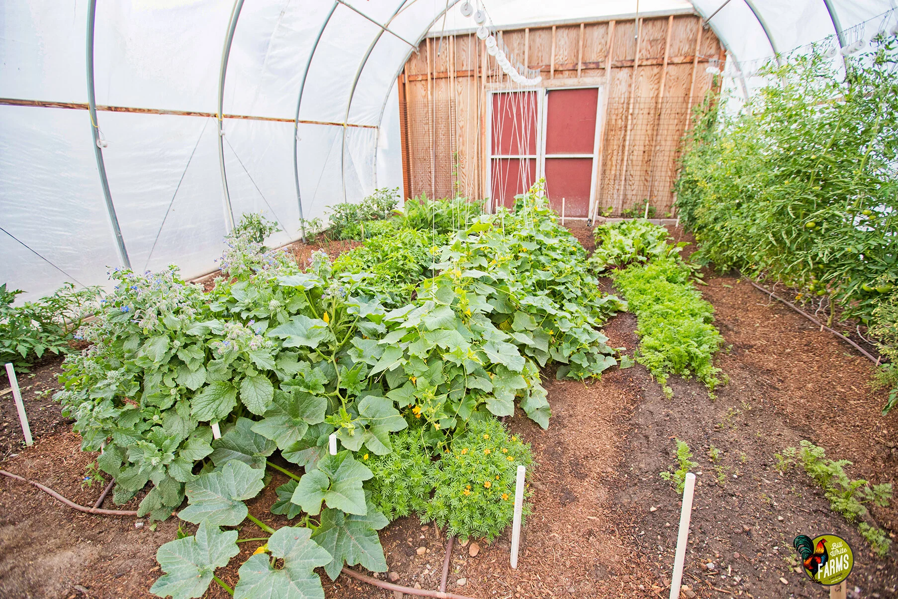 GreenDrinks11-L-web.jpg
