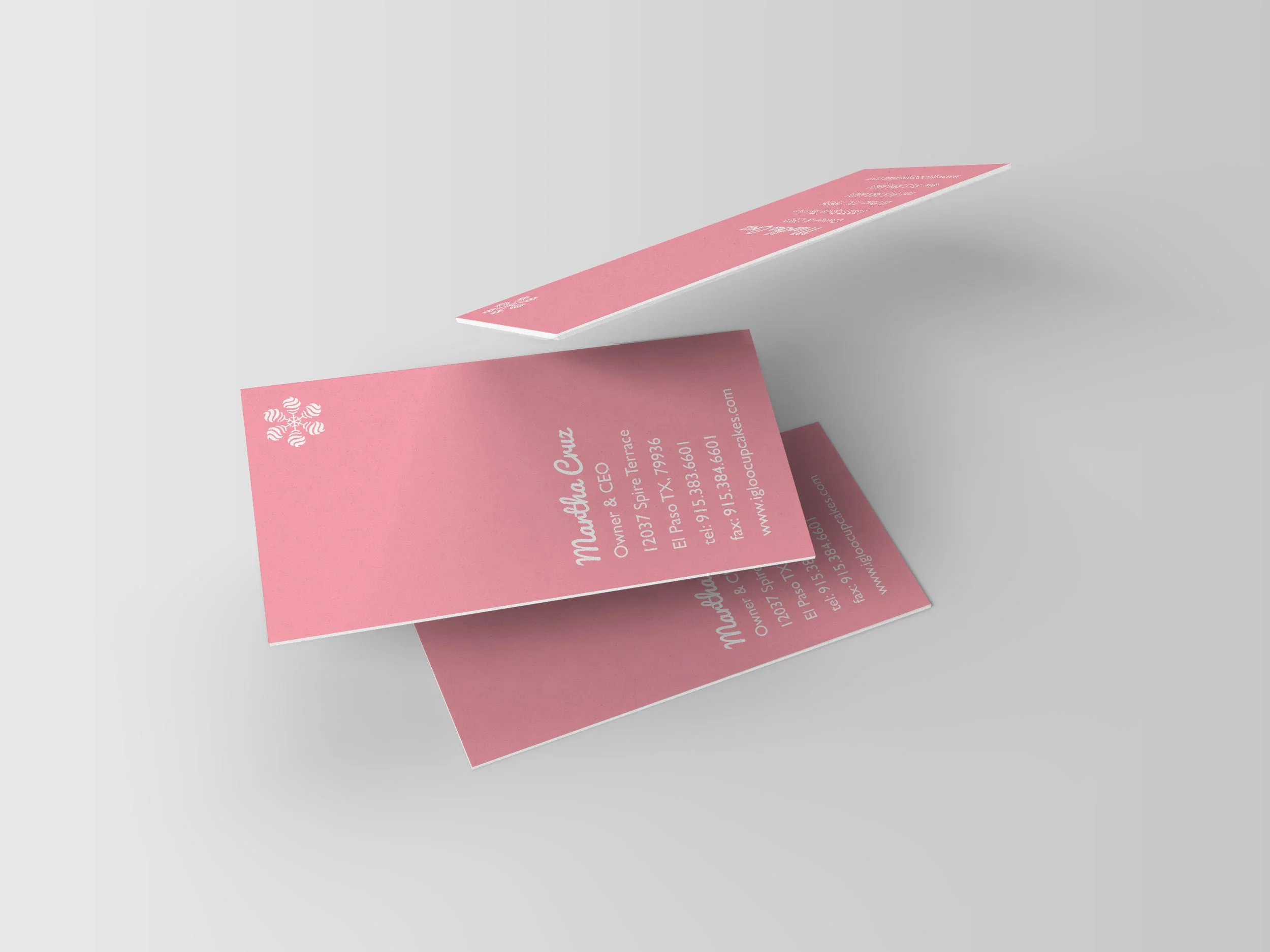 igloo---Business-Card-Mockups-2.webp