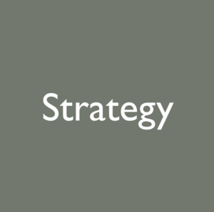 Developing and evaluating new products and company initiatives Creating value propositions that differentiate your company, products, or services from competitors more effectively